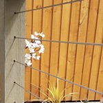 Screen Shot 2020-03-20 at 14.44.01