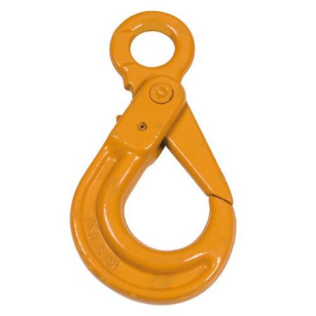 Eye Hook With Safety Catch 2T SWL