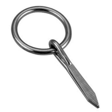 3mm x 25mm Stainless Steel Nail in Ring